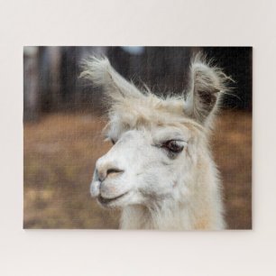 Wit Llama Portret, Legpuzzel