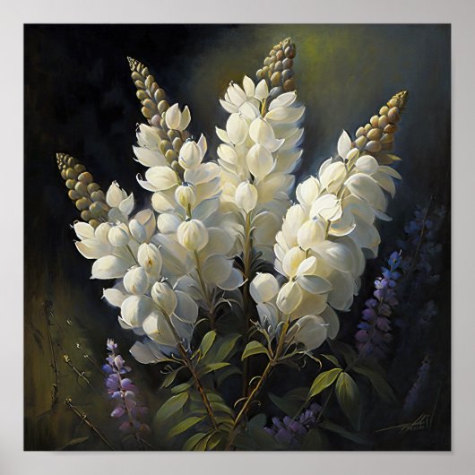 Wit Lupine Bloem Art Print Poster (Voorkant)
