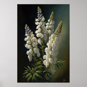 Wit Lupine Bloem Art Print Poster