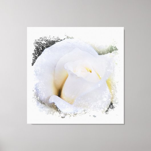 *~* Wit Macro Roos Floral AR8 Canvas Afdruk (Voorkant)