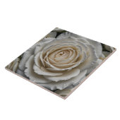 Wit nat roos close-up ontwerp tegeltje (Zijkant)