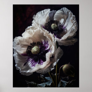 Wit Oosters Poppy Flowers Art Print Poster