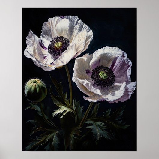 Wit Oosters Poppy Flowers Art Print Poster (Voorkant)