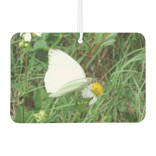 Wit op Groen Luchtverfrisser (Voorkant)