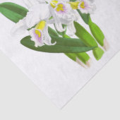  wit orchidee bloemenpapier tissuepapier (Detail)