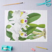  wit orchidee bloemenpapier tissuepapier (Craft)