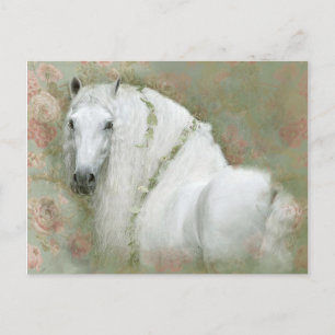 Wit Paard - Ansichtkaart Briefkaart
