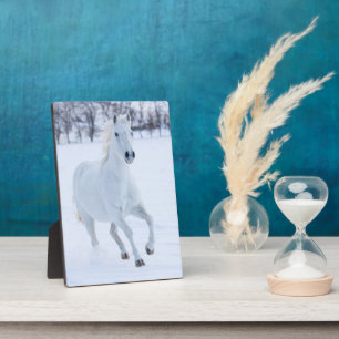 Wit paard dat in de sneeuw loopt fotoplaat