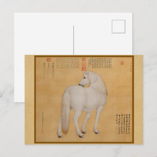 Wit Paard dat terugkijkt - Oude Chinese Kunst Briefkaart