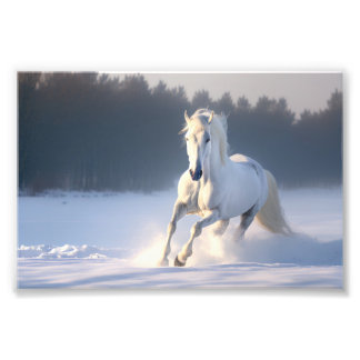 Wit Paard in Sneeuw, Paarden, Winter Foto Afdruk