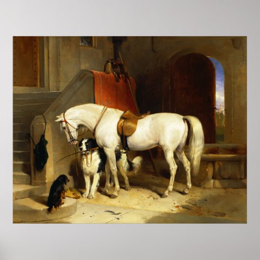 WIT PAARD MET HONDEN EN VALKEN IN STAL POSTER (Voorkant)