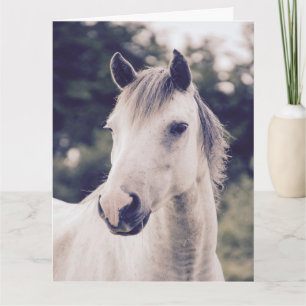WIT PAARD MOOI VERJAARDAG WENSKAART KAART