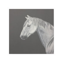 Wit Paard Muur Kunst