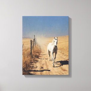 Wit Paard Stofachtig Pad Woestijn Kunst Canvas Afdruk