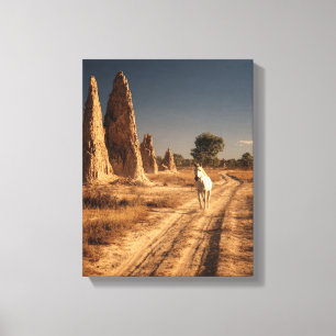 Wit Paard Woestijn Monoliet Schilderij Canvas Afdruk