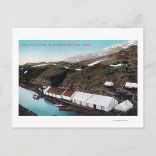 Wit passer en spoorweg Yukon Briefkaart