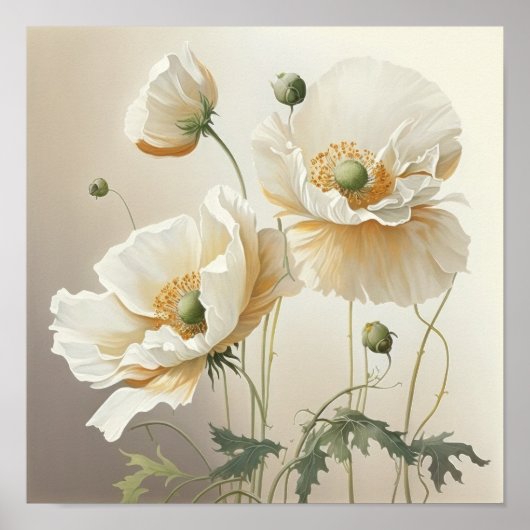 Wit Poppy Flowers Art Print Poster (Voorkant)