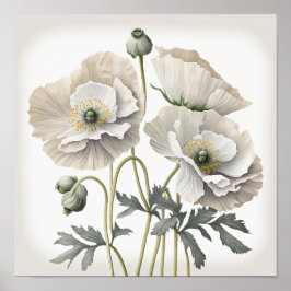 Wit Poppy Flowers Art Print Poster
