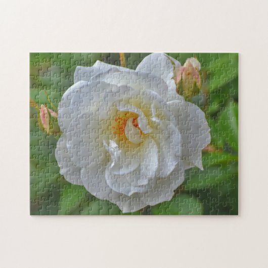  wit rose bloem kunst puzzel (Horizontaal)