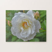 wit rose bloem kunst puzzel legpuzzel (Horizontaal)