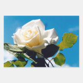  Wit Rose Blue Sky Inpakpapier Vel (Voorkant)