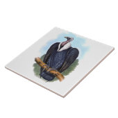 wit-rumped gier vogel illustratie tegeltje (Zijkant)