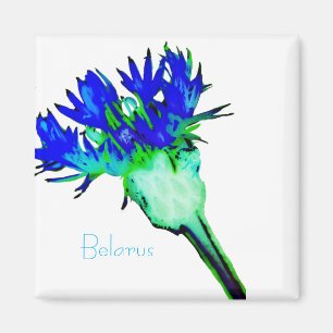 Wit-Rusland Б л р у Nationale Corn Flower Magnet Magneet