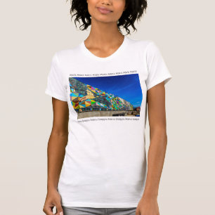 Wit-Rusland Б с Minsk аGanglendeArchitectuur T-Shi T-shirt