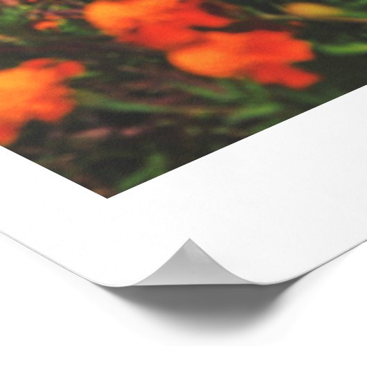 Wit-Rusland Natuur Architectuur Poster (Hoek)