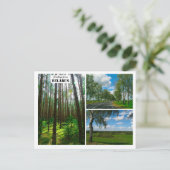 Wit-Rusland Natuur Forest Scenery Briefkaart (Staand voorkant)