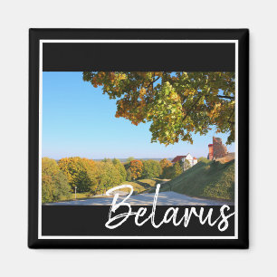 Wit-Rusland Navahrudak Kasteel Architectuur Magnee Magneet