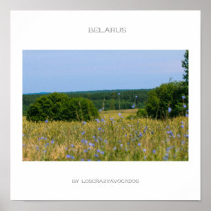 Wit-Rusland Plattelandslandschap Natuur Platteland Poster