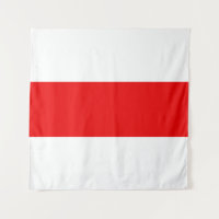 Wit-Rusland vlag symbool rode witte revolutie