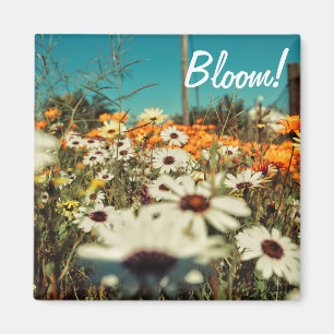 Wit Sinaasappel Daisy Flowers Bloemmagneet Magneet