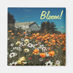 Wit Sinaasappel Daisy Flowers Bloemmagneet Magneet