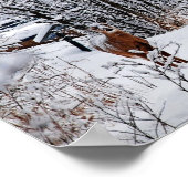 Wit-staartherten in Poster met wintersneeuwwaarde (Hoek)