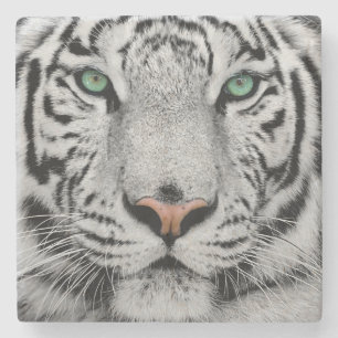 WIT TIGER FACE SLOSE-UP STENEN ONDERZETTER