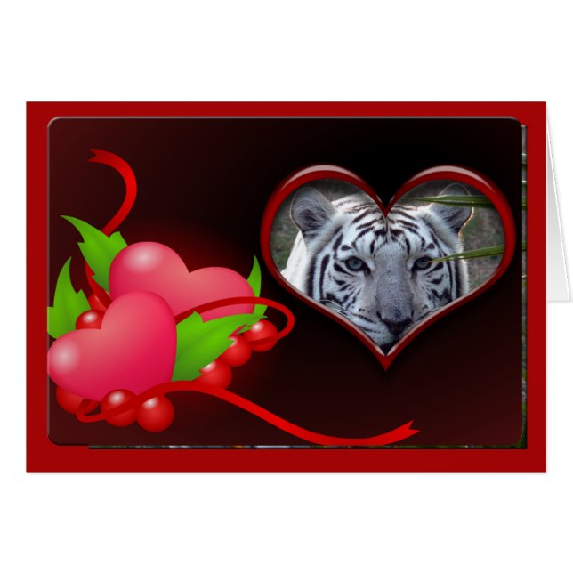 wit-tijger-00102-65x45 (Voorkant Horizontaal)