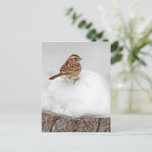 Wit-troebel Briefkaart (Staand voorkant)