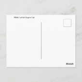 Wit Turks Angora Kattenportret Briefkaart (Achterkant)
