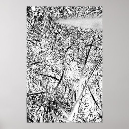 wit uitheems gras poster (Voorkant)