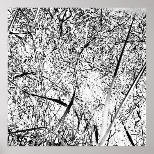 wit uitheems gras poster (Voorkant)