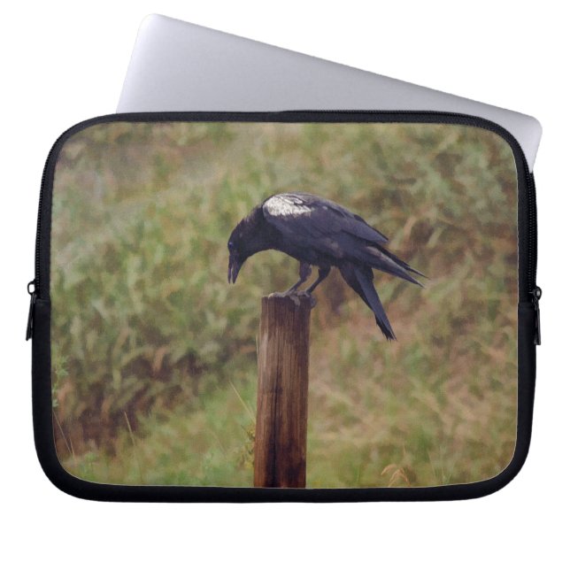 Wit-Winged Raven en Fence-Post Art Laptop Sleeve (Voorkant)