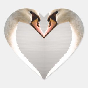 Wit zwaan hart sticker