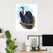  witbemand wijnbouwhuisdier poster (Thuiskantoor)