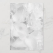 Witboek van het witboek van het programma van Flor (Achterkant)