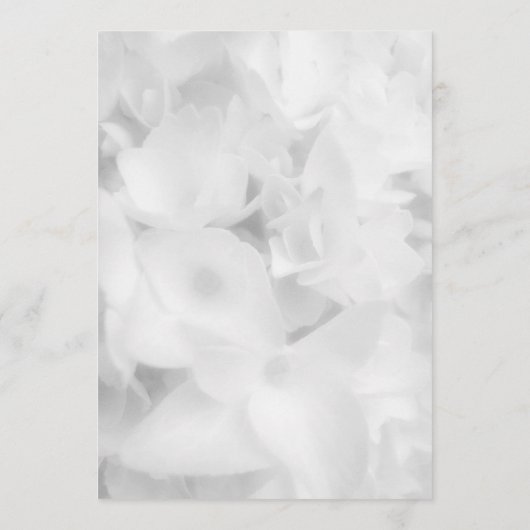 Witboek van het witboek van het programma van Flor (Achterkant)