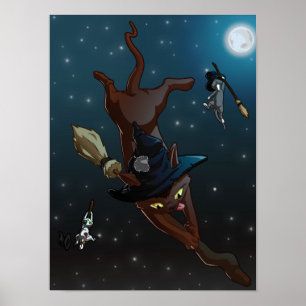 Witch Cat leerlingen   Vliegpraktijk Poster