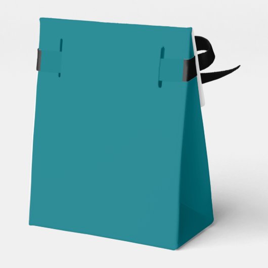 Witch en Moon Magic Spell Favor Box Bedankdoosjes (Achterkant)