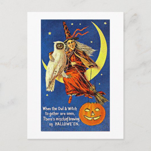 Witch en Owl op de Moon Halloween Briefkaart (Voorkant)